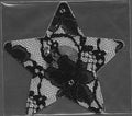 Star Black Lace Smart Tags