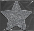 Star Silver Glitter Smart Tags